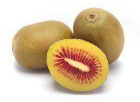 تصویر 2 از قیمت خرید میوه کیوی خونی + فروش ویژه